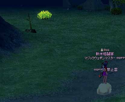 光って見える草
