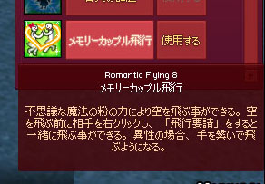 メモリーカップル飛行