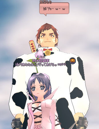 カボチャ