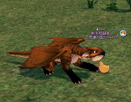 野生のベビードラゴン