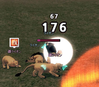 多タゲw