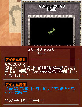 キリッとしたカマキリ