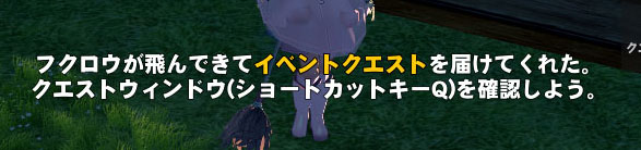 フクロウｗ