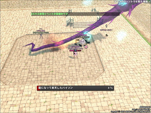 mabinogi_2013_03_07_035
