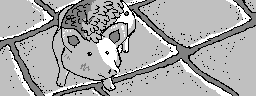 chat_20211022_222343_aspirin