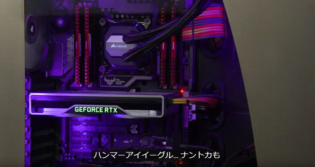 ハンマーアイイーグル…