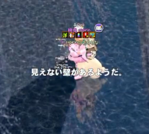 見えない壁があるようだ