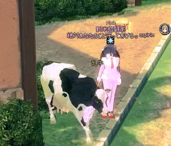 乳牛3