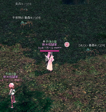 青森キノコクモ