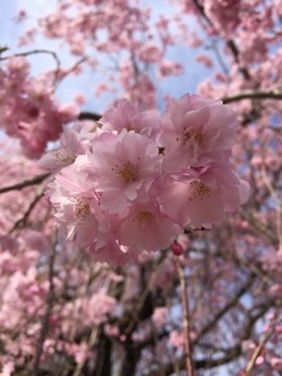 �����������쥶���饢�å�