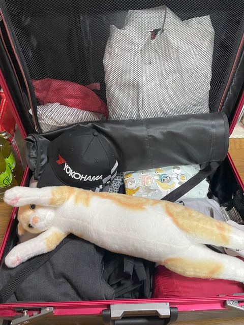 20240223_031101531_iOS