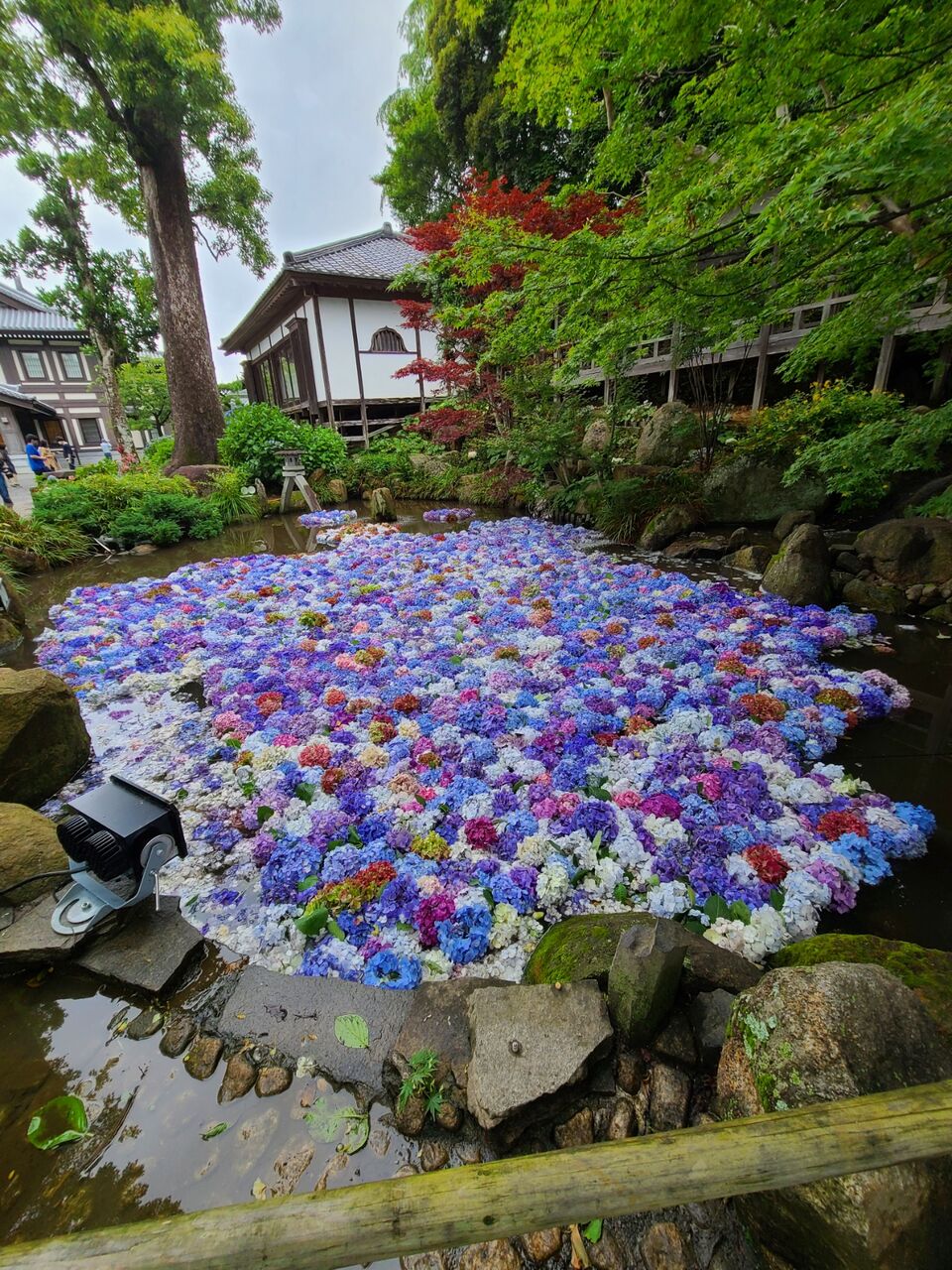 21 7 大人の遠足 雨引観音 Manamana Diary