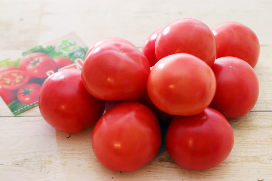 フレッシュトマトとシソのスパゲティー Menu Del Dia