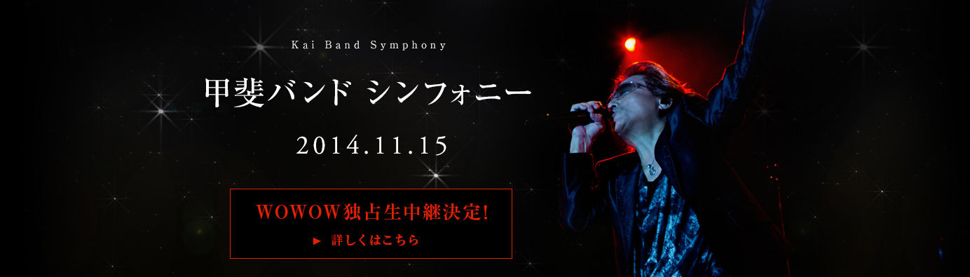 甲斐バンドシンフォニー 14 11 15 ｈａｐｐｙを探しに出かけよう