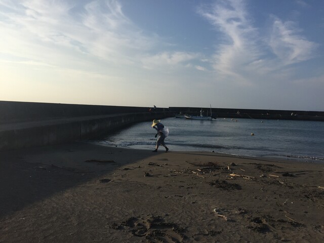 見物海岸19 8 24 The 115th Day Yamaのつぶやき やまのつぶやき マナティーズ