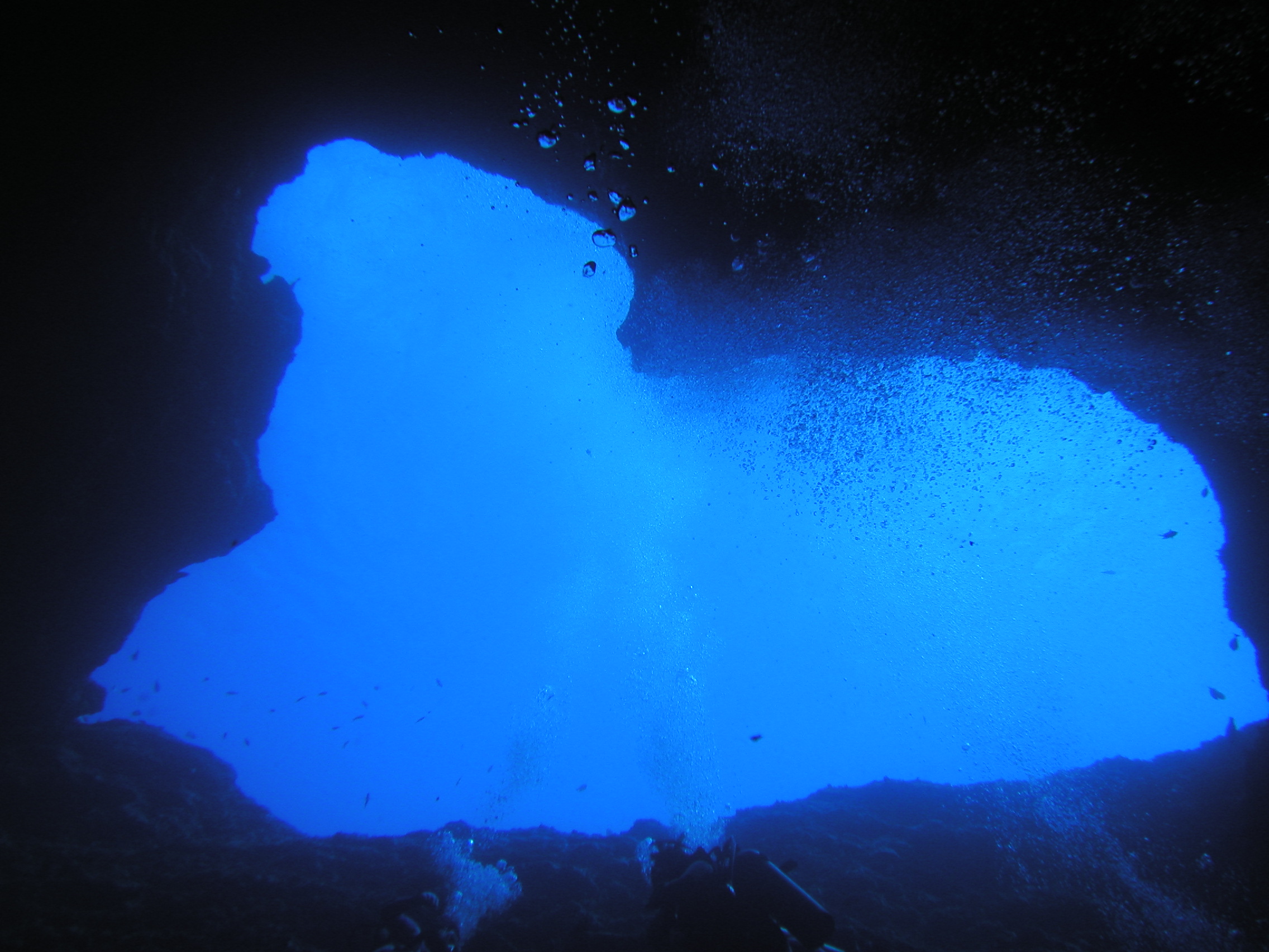 ブルーホール Yamaのつぶやき やまのつぶやき マナティーズ