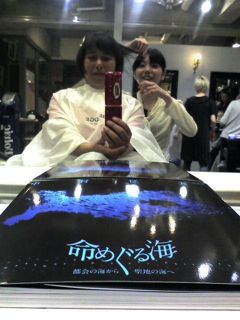 サンシャイン水族館 アンサー マナティー カットモデル Yamaのつぶやき やまのつぶやき マナティーズ