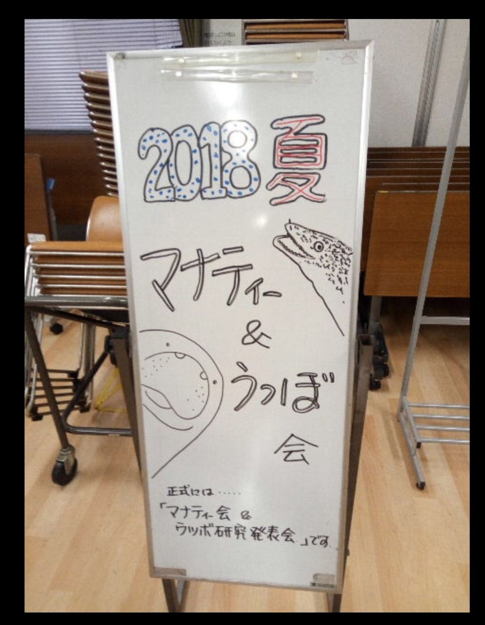 マナティー会 の報告 つまき ブログより 18 6 マナティー情報 From Manatees Japan マナティー会 の報告 つまき ブログより 18 6 マナティー情報 From Manatees Japan