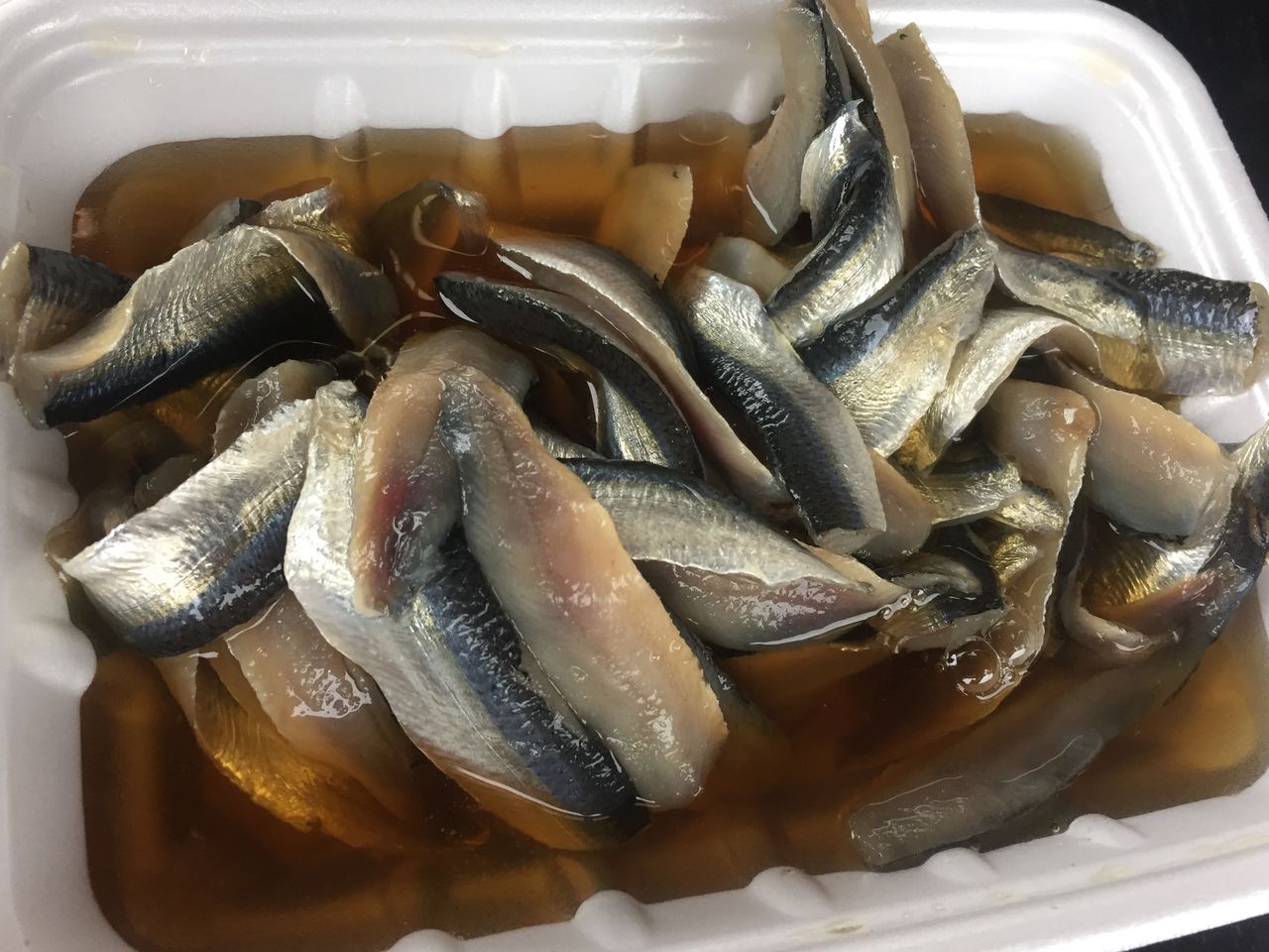 司飯 さかなクン番宣 18 12 22 ダイビングツアー報告 マナティーズ