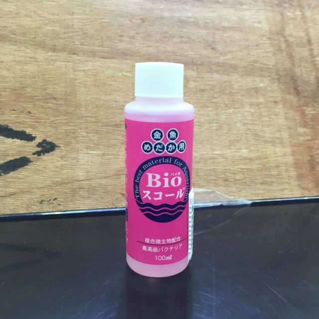 マナウス三郷店のblog マナウス三郷店のblog