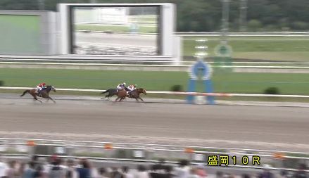 【競馬】クラスターＣは武豊騎乗のマテラスカイがＶ