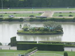 京都競馬場の池の水、全部抜く