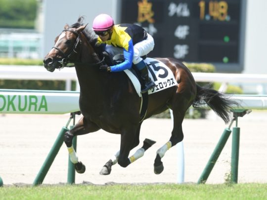 【3月16日】須磨特別・若葉Ｓ・なにわＳの競馬予想と過去データ傾向