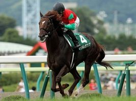 【競馬】　ラフィアンの募集馬って、どうしていい厩舎に入厩させてあげないの？