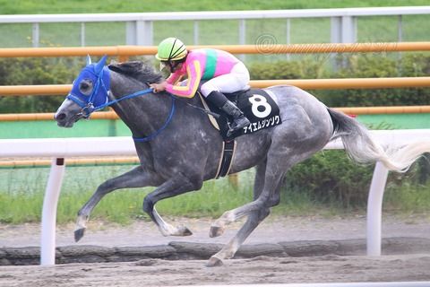 【競馬・平安S】ＧⅢなのにグレイトパールＶＳテイエムジンソクって、こんな凄い対決のＧⅢって今までにあったか？