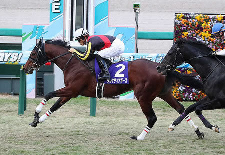 【競馬予想】[2]第66回 京成杯オータムハンデ(G3)/2021