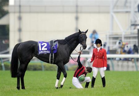 【天皇賞・秋2018】一週前予想と先週結果｜2歳戦で帯封的中！