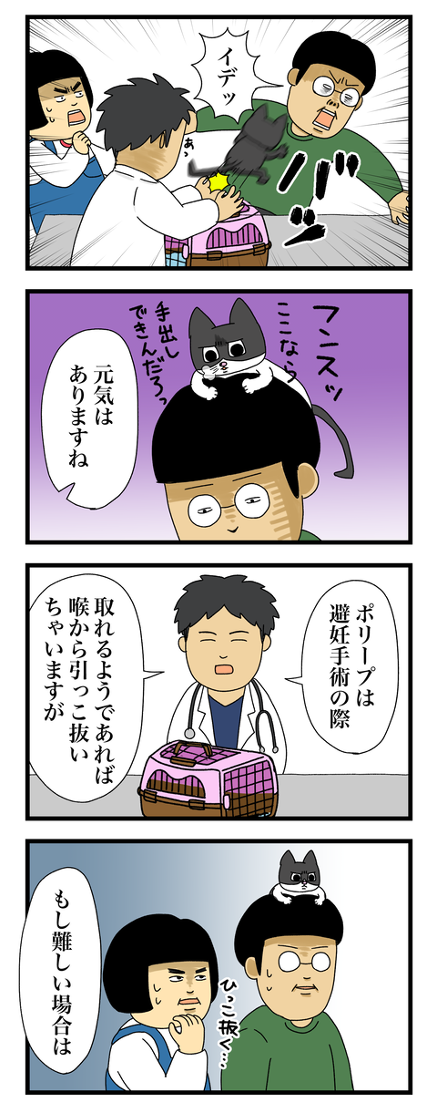 コミック11a