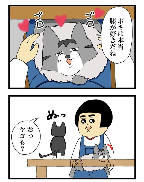 コミック11a