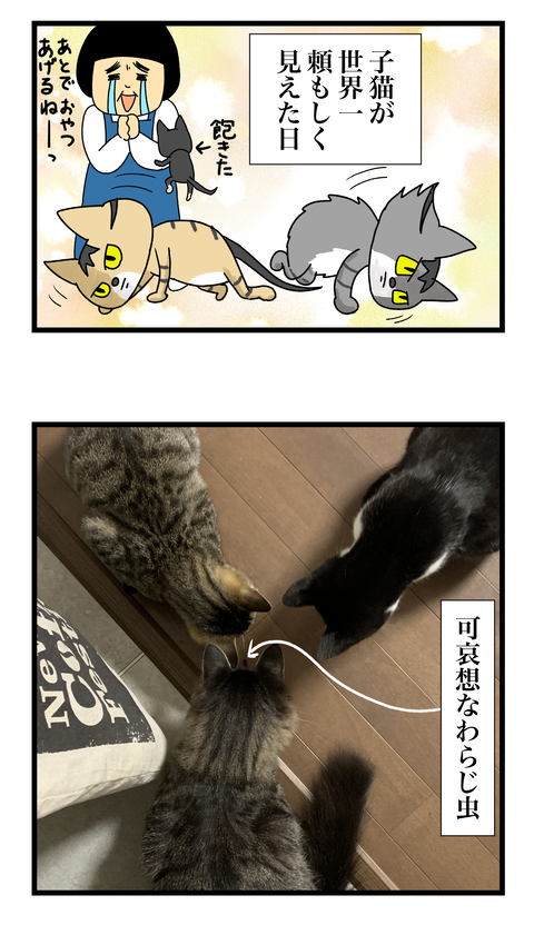 コミック11a