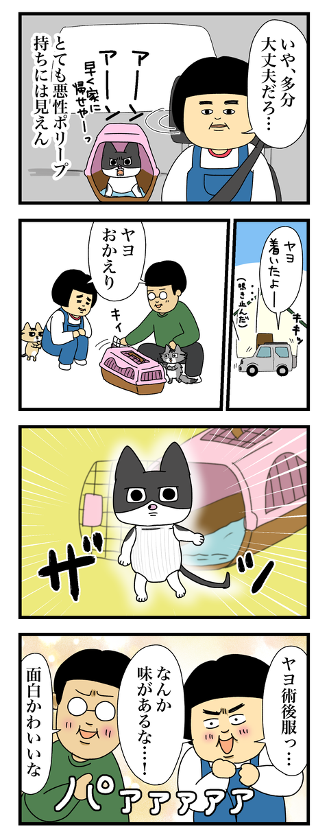コミック11a