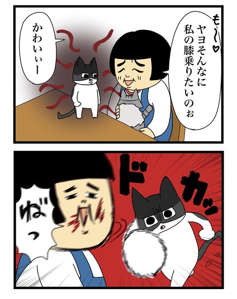 コミック11a