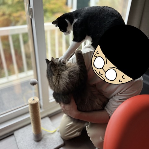 コミック13