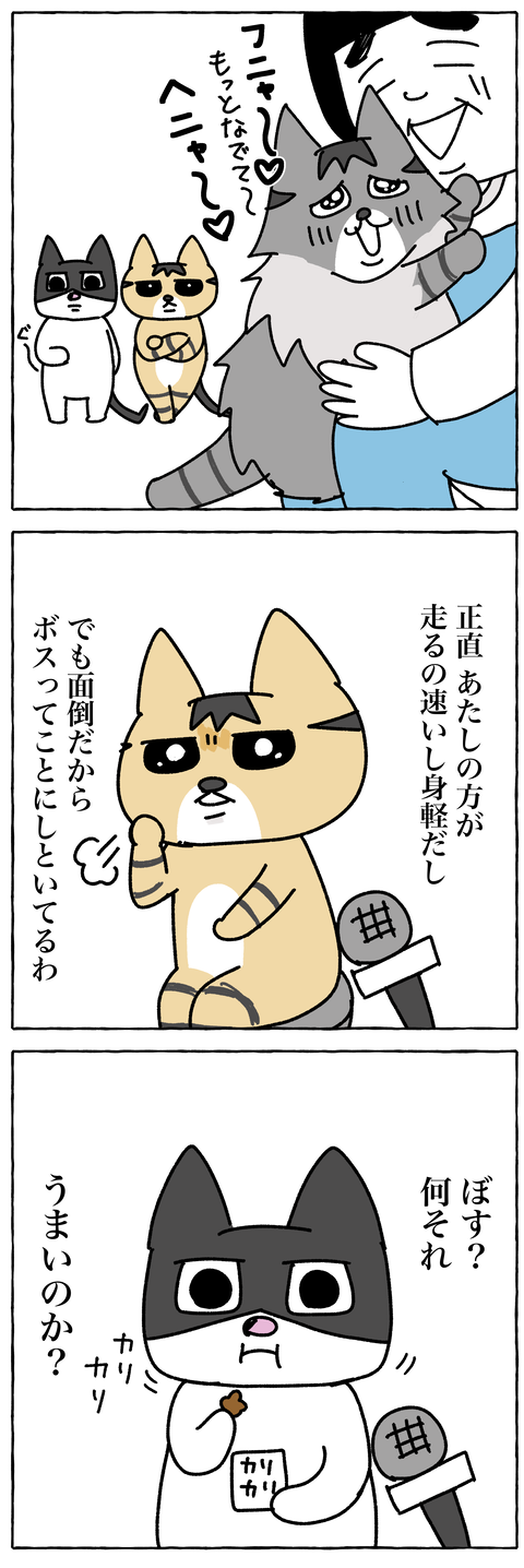 コミック13