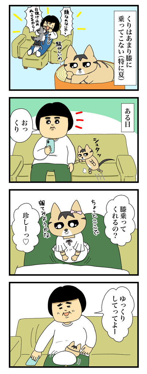 コミック11a