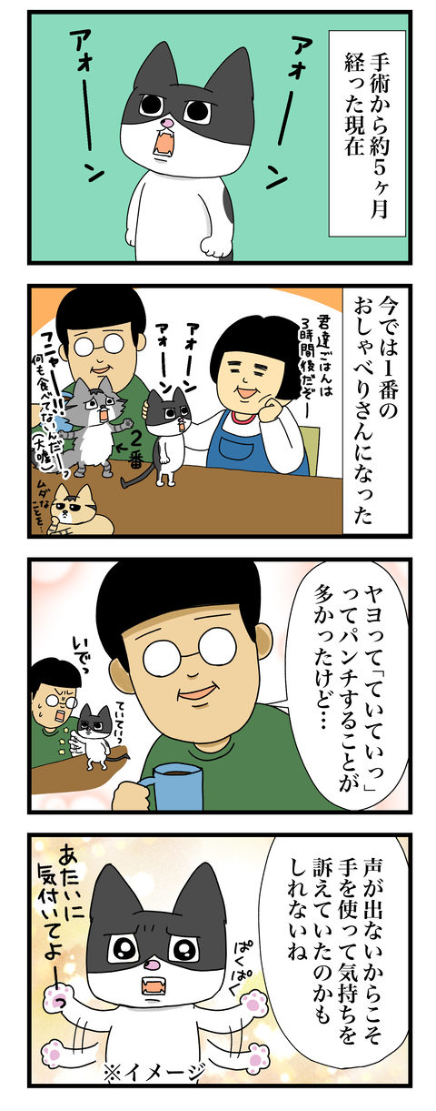 コミック11a