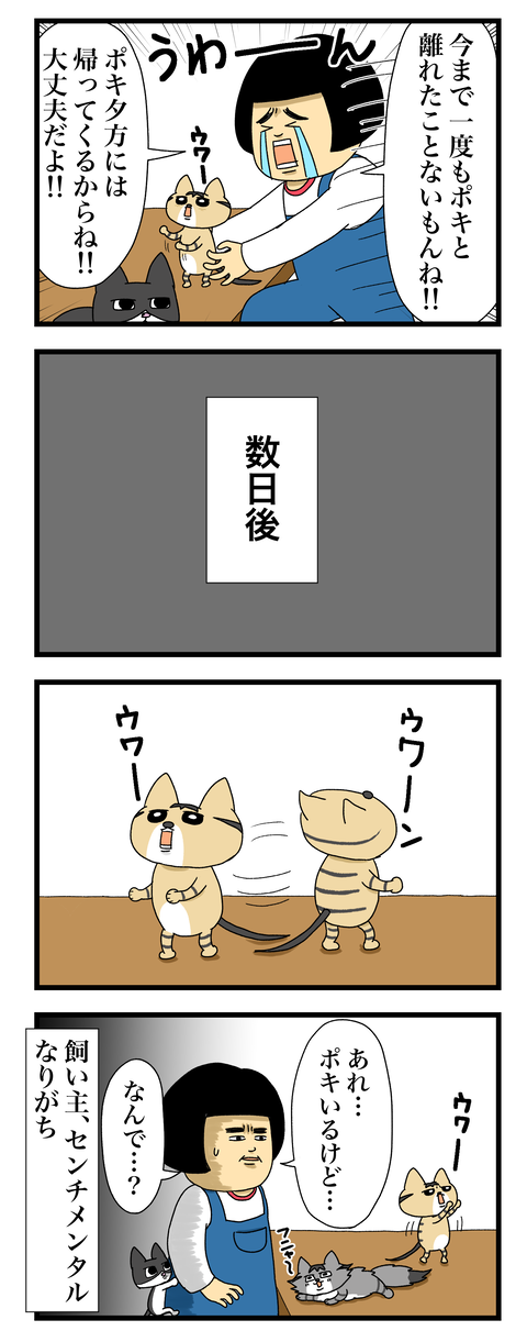 コミック11a