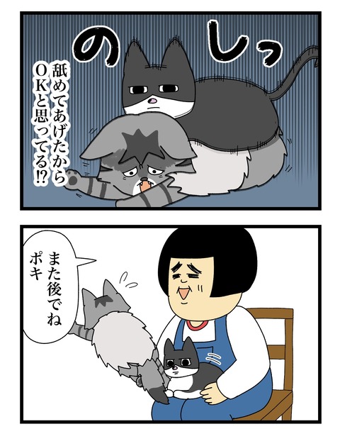 コミック11a