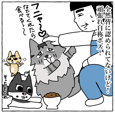 コミック13