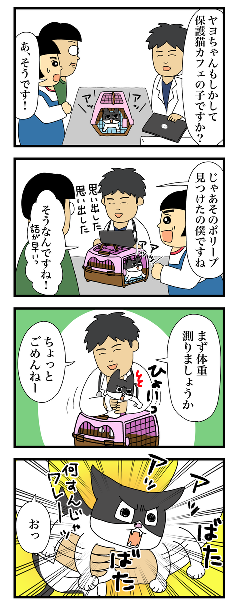 コミック11a