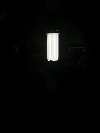 イメージ 47