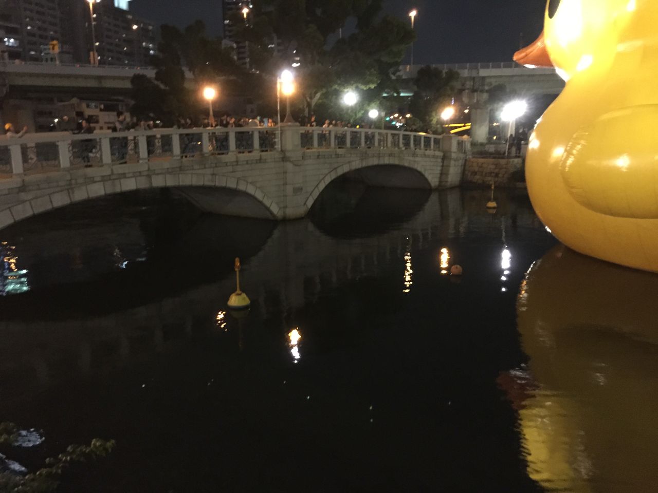 イメージ 10