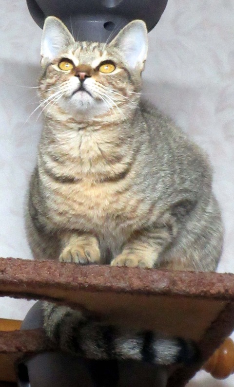 みかん２３