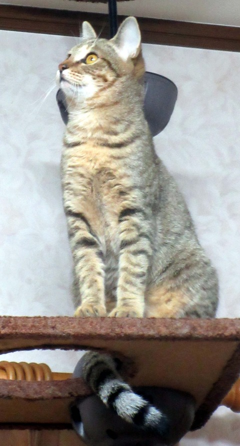 みかん２４