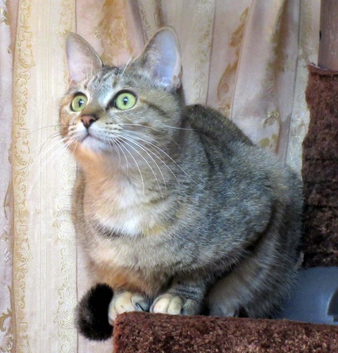 くり４