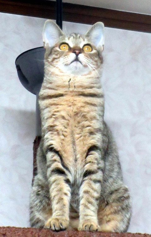 みかん２２